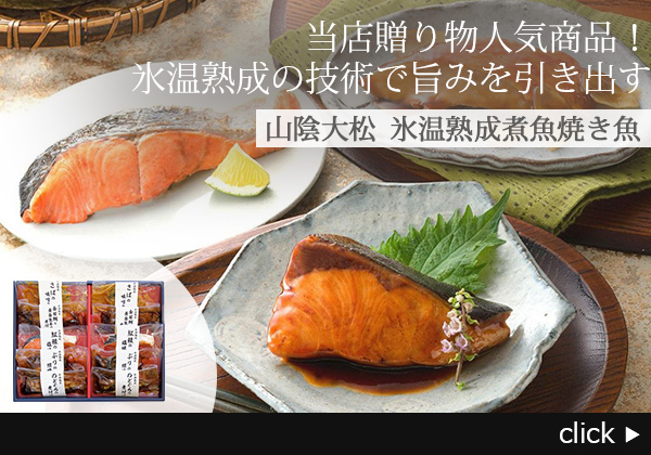 ダイマツ 氷温熟成煮魚・焼魚ギフトセット10切 