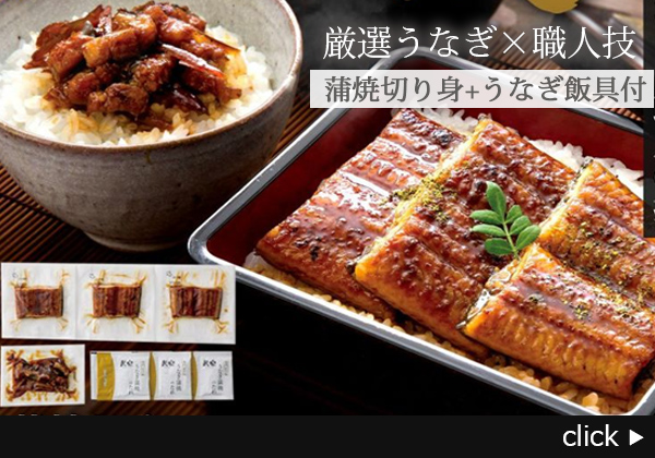 九州産うなぎ蒲焼切身3枚＆うなぎめしの具（ごぼう入）セット