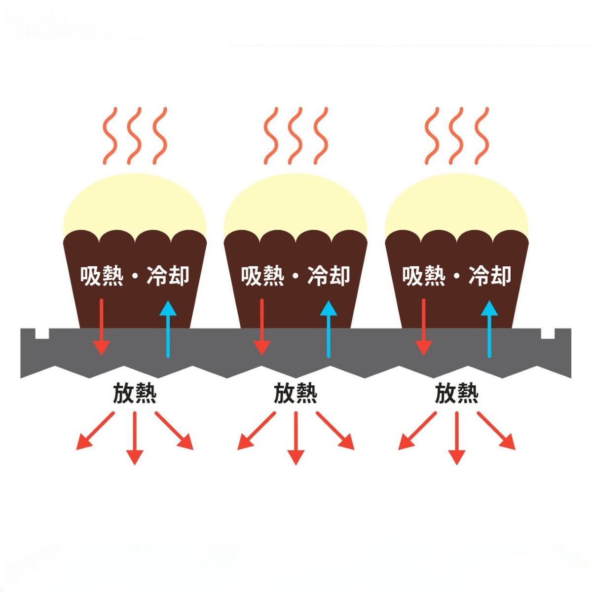 BWS SELECTION クールダウンプレートの説明画像9