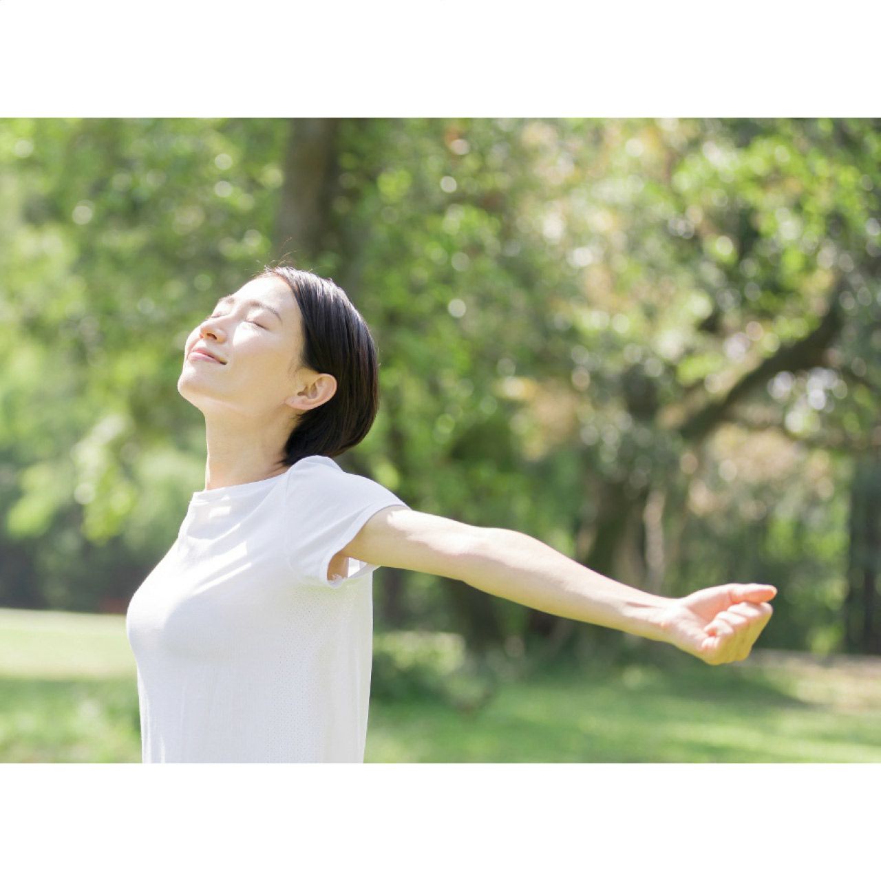 健康おもいやりギフトKKO-BOの説明画像3