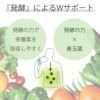 健康おもいやりギフトKKO-BOの説明画像3