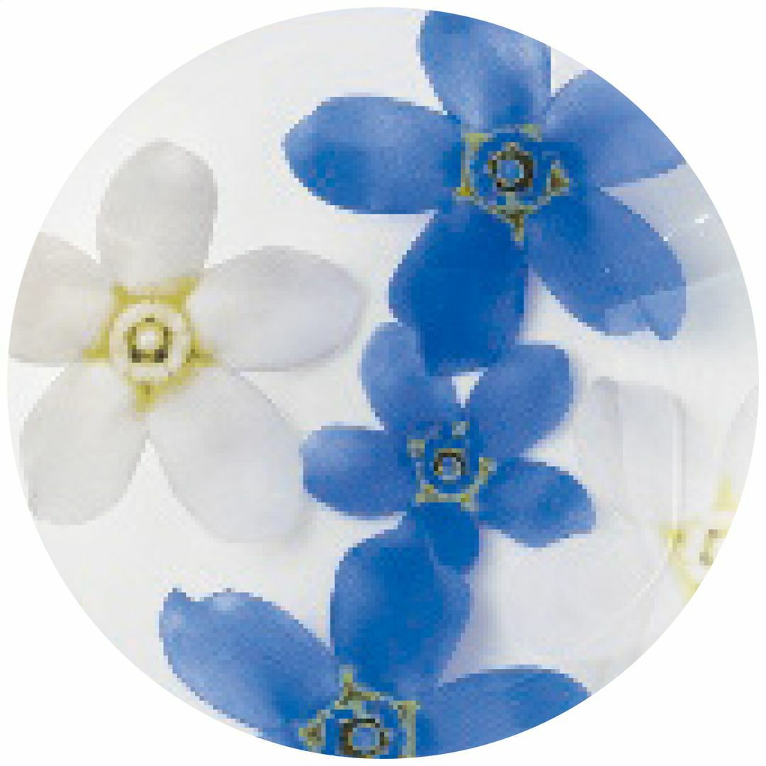 フローラ ゆらりグラスペアAの説明画像3