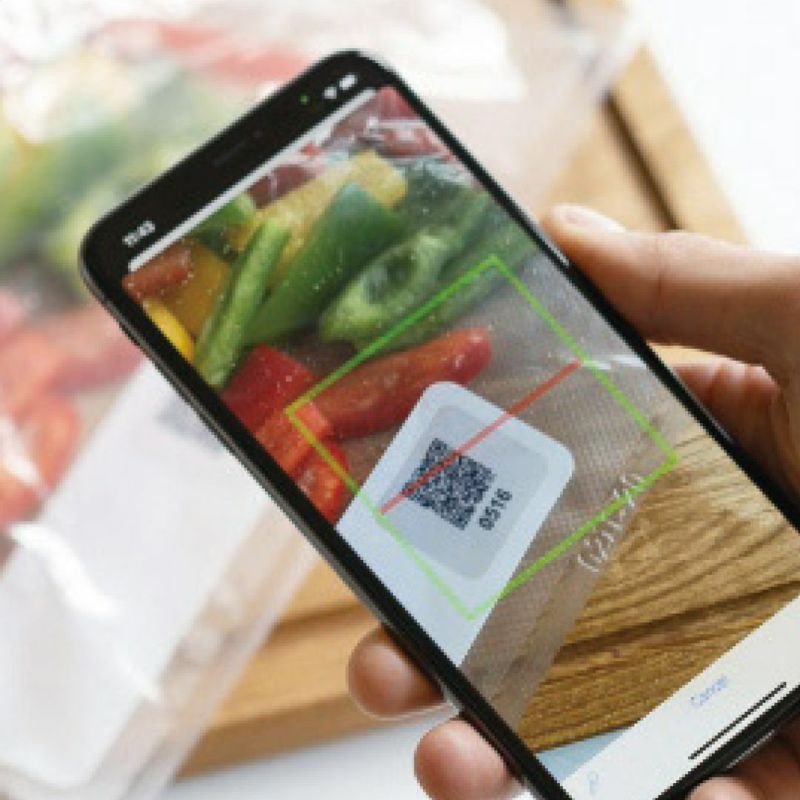 ツヴィリング フレッシュ＆セーブ真空パック機 スターター7点《公式