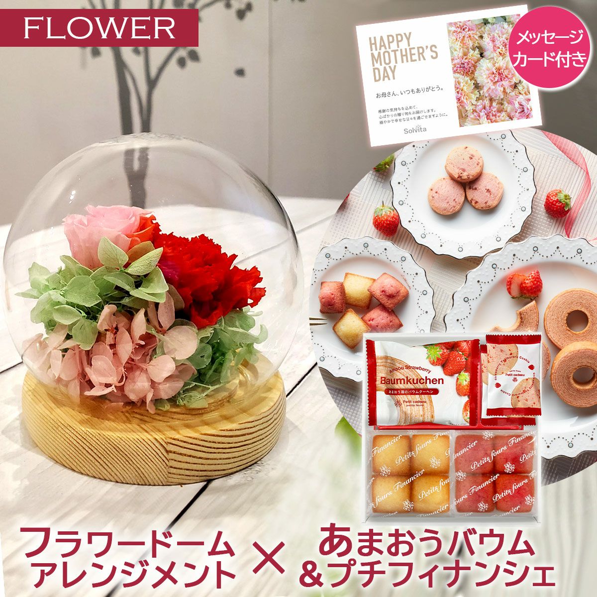 母の日 カーネーション・ホットハート5号《公式》キッチン